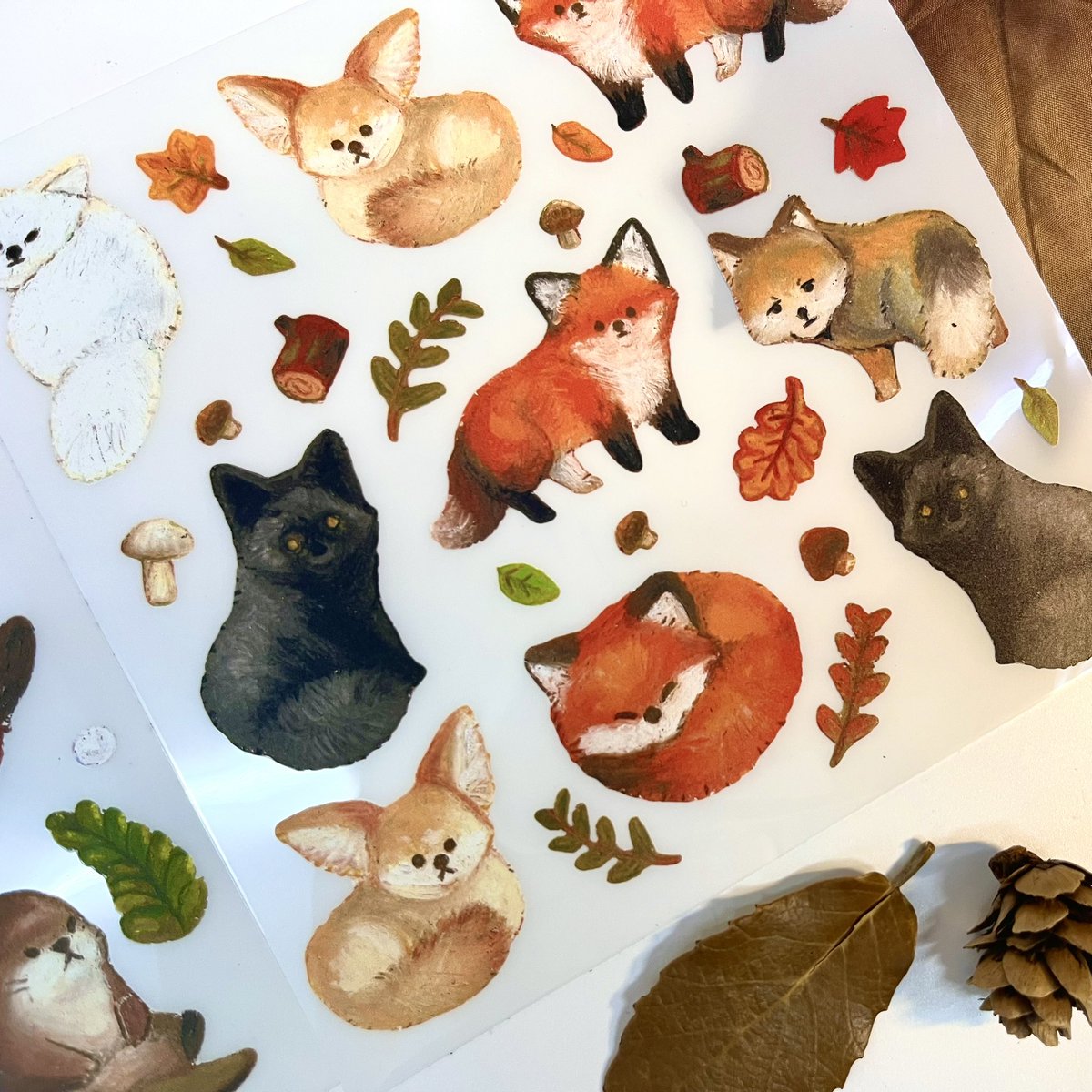 myy279's tweet photo. 🦊🤎🦦🍂 https://t.co/RfQI1x4Zx5