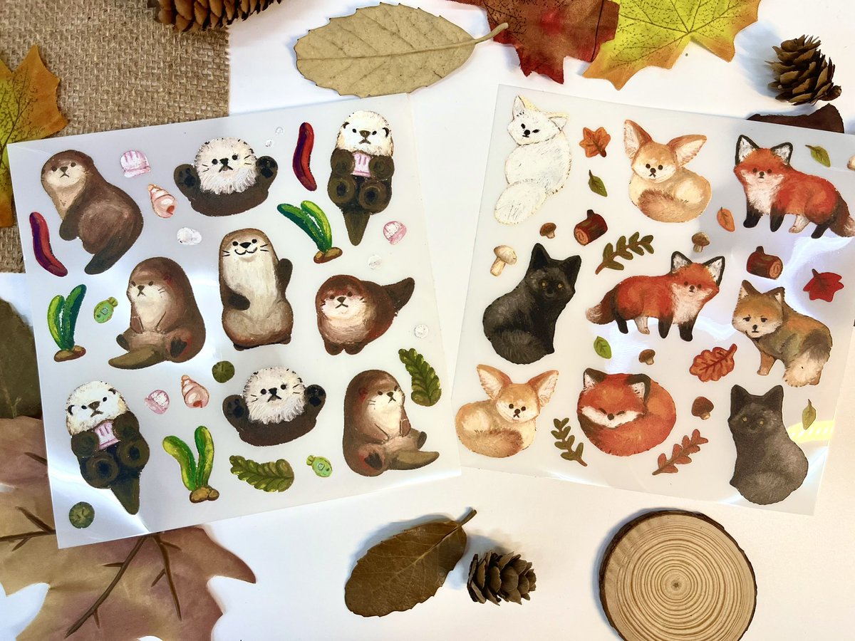 myy279's tweet photo. 🦊🤎🦦🍂 https://t.co/RfQI1x4Zx5