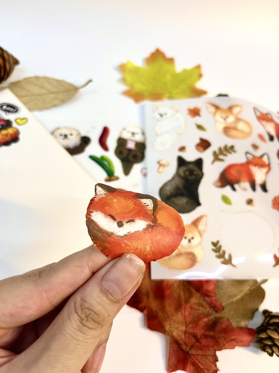 myy279's tweet photo. 🦊🤎🦦🍂 https://t.co/RfQI1x4Zx5