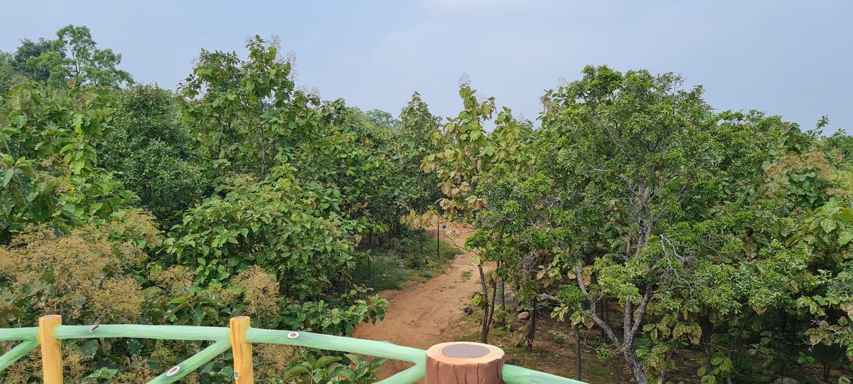 dobriyalrm's tweet photo. Today visited the Chincholi Urban Forest Park, Nirmal, Telangana...what an experience...Pl visit sometimes. https://t.co/xApvM1GLoV
