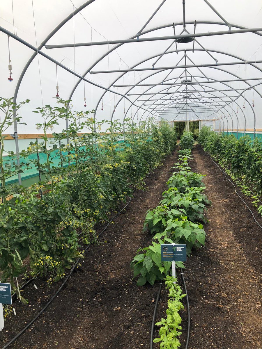 Did you know that DefAc has an organic market garden? In a series of #Sustainability initiatives supporting Defence net zero by 2050, the garden will produce organic vegetables, fruit & herbs for food outlets across site. Keep an eye out as we share more sustainable activities.