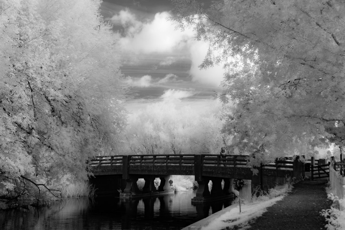 ImagesbyDA's tweet photo. Paper Mill Bridge in Infrared. 
 
#essex #essexlife  #picoftheday #essexphotographer #photography #essexcounty #bnw #blackandwhite #blackandwhitephotography #bnwphotography #bnwmood #irphoto #irphotography #infrared #infraredphoto #infraredphotography #infrared_images  #papermill https://t.co/ZEVjACzZBO