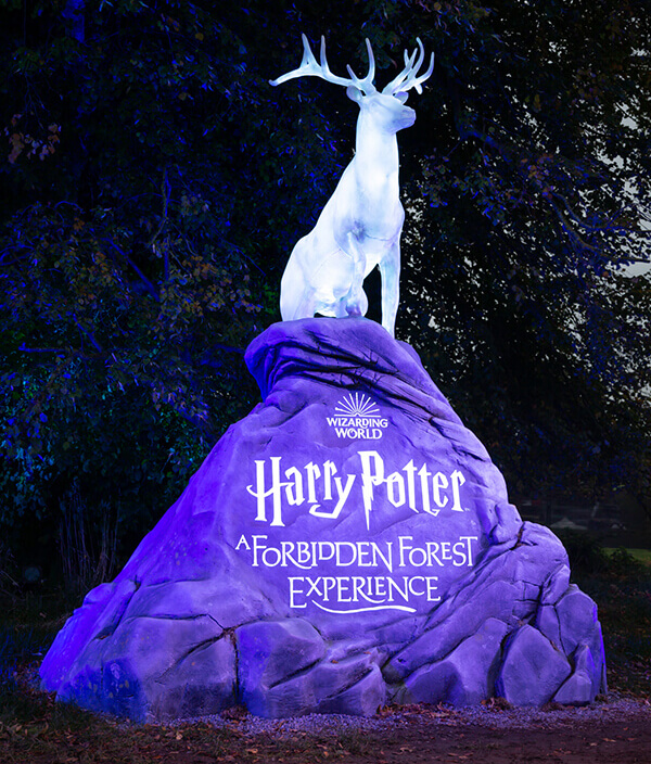 TheHiveat52's tweet photo. π§ββοΈWhy donβt we go and have a butterbeer in the Three Broomsticks at the #harrypotteraforbiddenforest.
#familybusiness #bookdirect #bookdirectandsave #bookdirectly #bookdirectlywithus #supportlocal #smallbusiness #harrypotteraforbidenforestexperience #arleyhall #halloween https://t.co/hS4Tt3T6az
