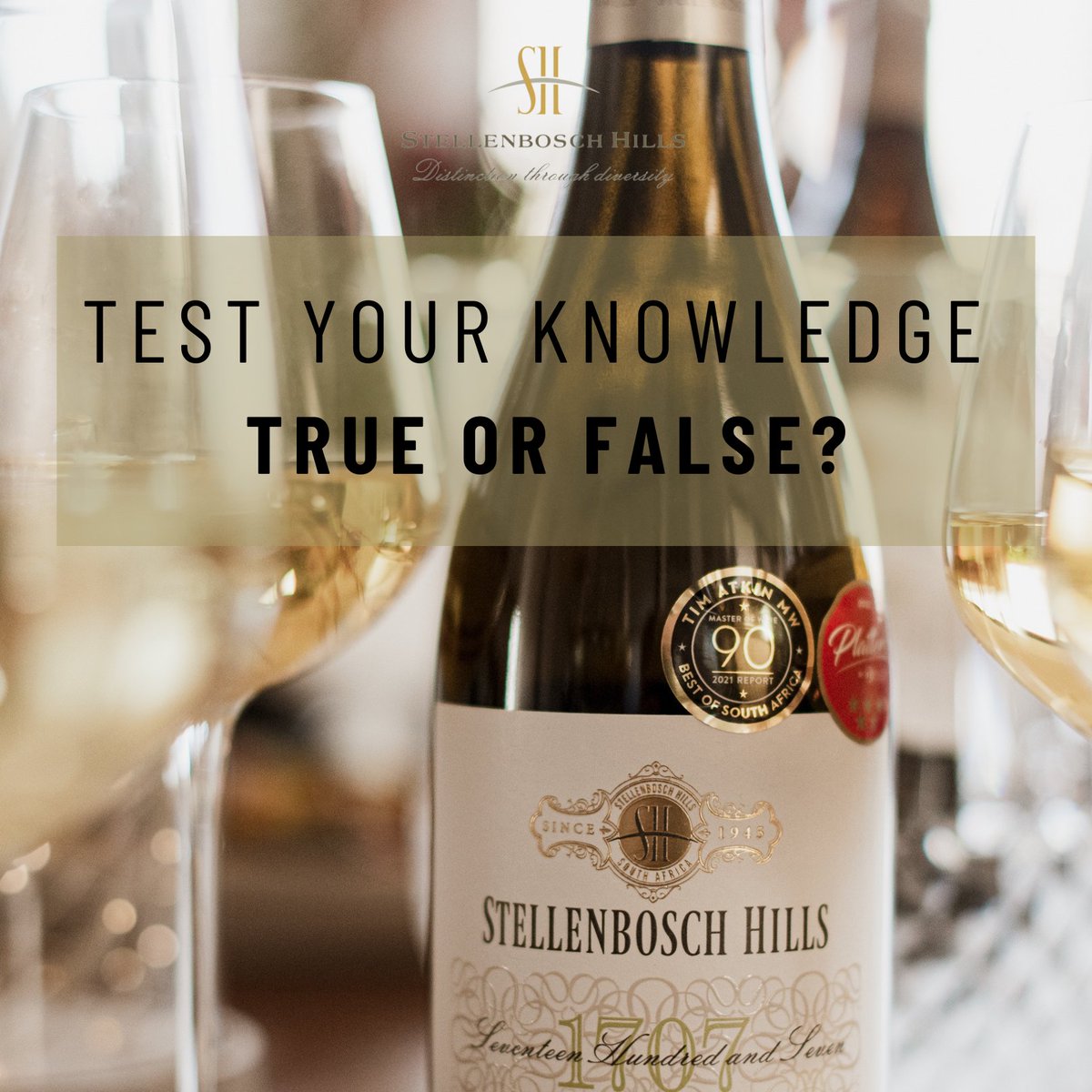 Stellenbosch Hills tweet media