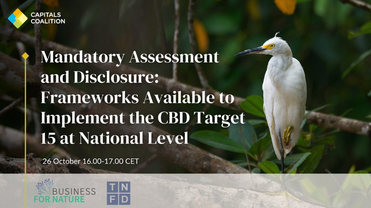 Ahead of #COP15, join @BfNCoalition and @CapsCoalition's webinar, demonstrating that mandatory assessment and disclosure requirements are both needed and implementable at a national level. 🗓️ Wednesday, 26 October, 16h00 CEST Register here 👉 ow.ly/MNzz50Lgeep