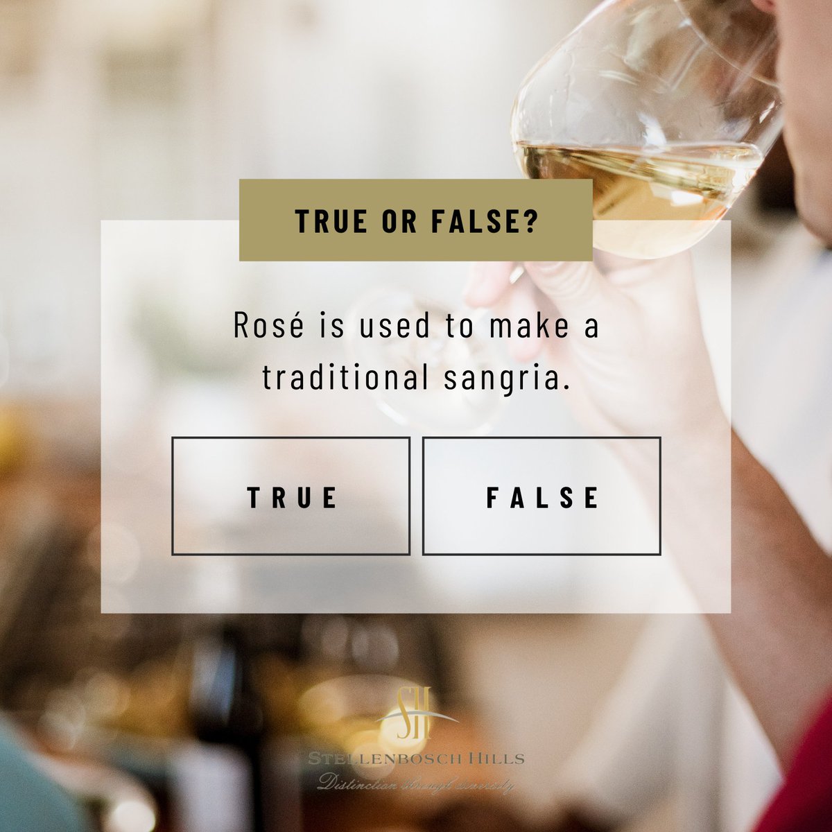 Stellenbosch Hills tweet media