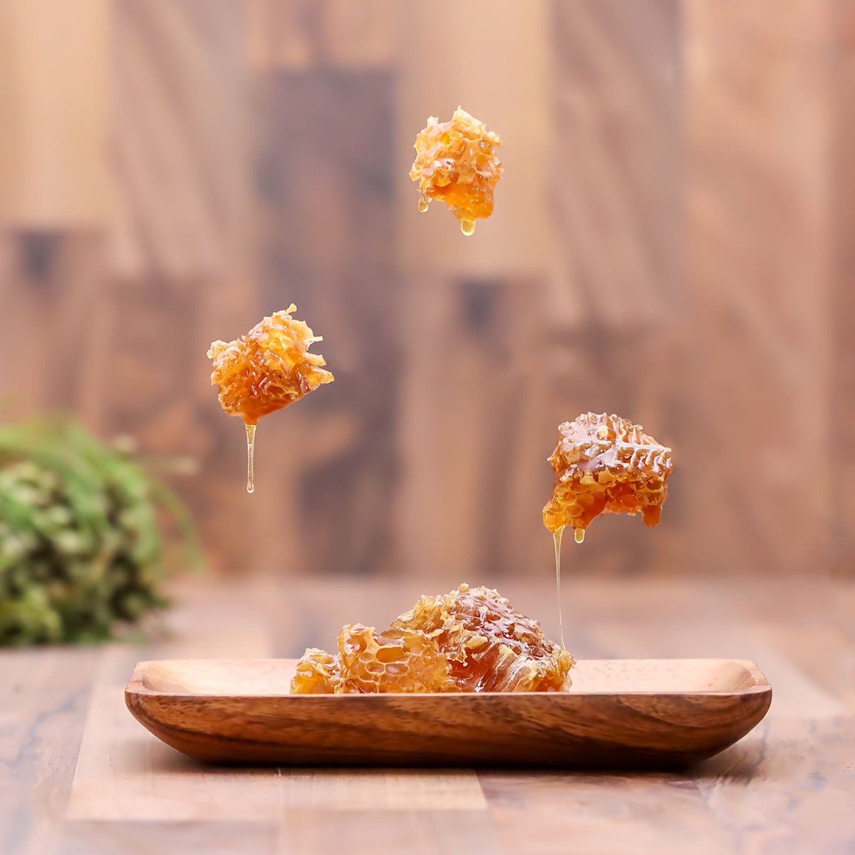 Native Nosi (@nativenosi) on Twitter photo Our honeycomb π beautifully captured by <a href="/MediaTribeTV/">Media Tribe</a> πΈ Happy Friday π―π #nativenosi
nativenosi.co.za/product/150g-hβ¦ Our honeycomb π beautifully captured by <a href="/MediaTribeTV/">Media Tribe</a> πΈ Happy Friday π―π #nativenosi
nativenosi.co.za/product/150g-hβ¦