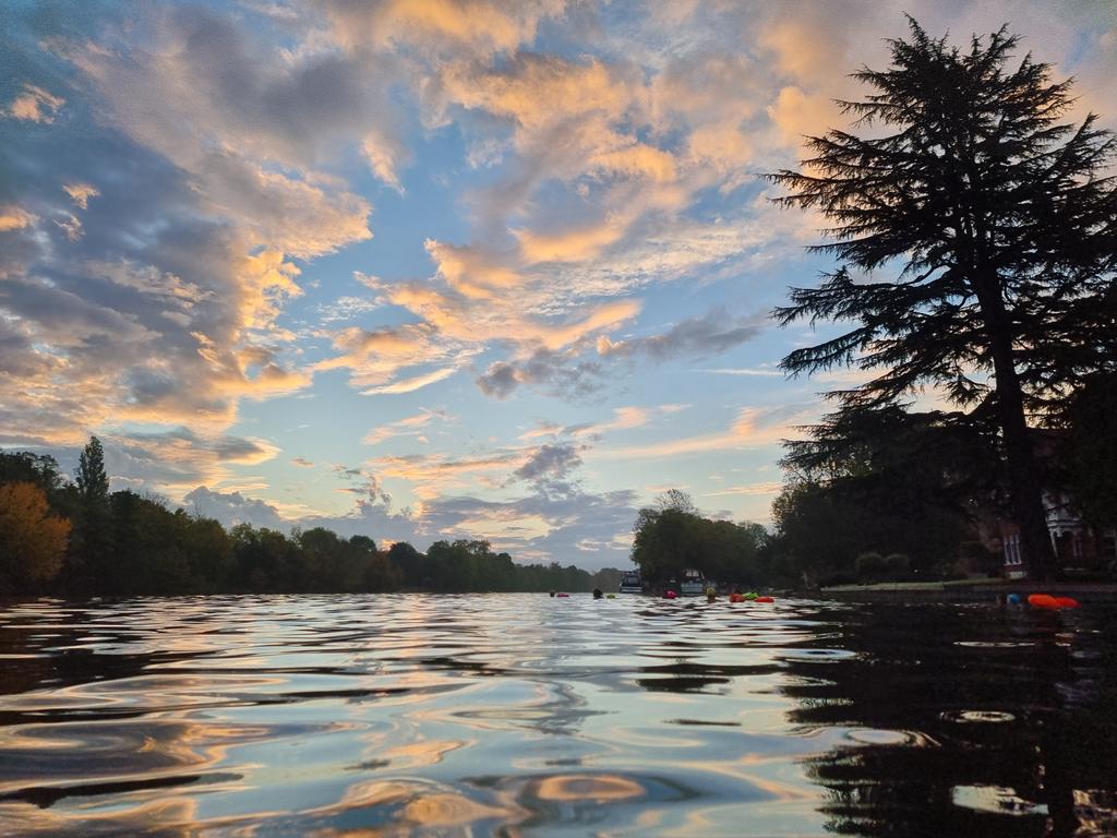 Simon Griffiths: Publisher, Author, Swimmer tweet media