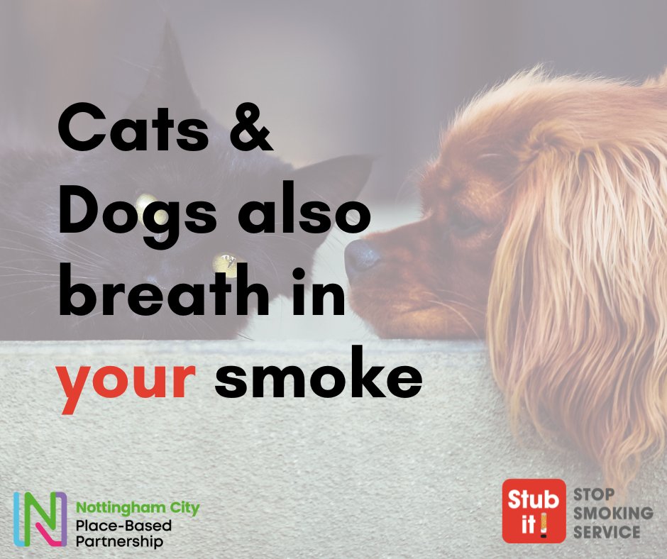 NCGPANottm's tweet photo. Smoke can also be harmful for you pets!

Support is available to help Nottm city residents to #stopsmoking. Visit https://t.co/f4KHNFvEsc for more information. 
 
#Stoptober #Stubit22 #NottmCityPBP https://t.co/2wSPVLrCZO