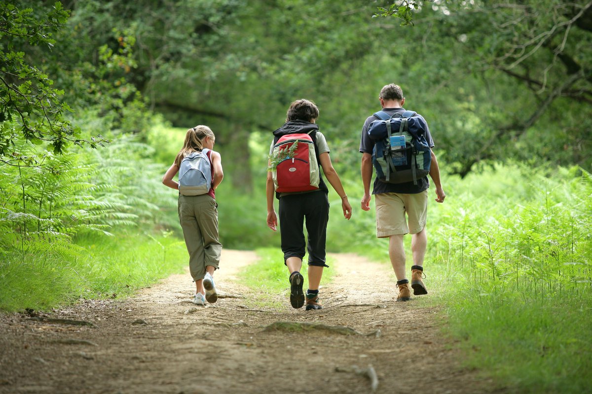 valdoise's tweet photo. #Valdoisedirect Le #Valdoise crée le Plan Départemental des Espaces, Sites et Itinéraires #PDESI un document qui recense les lieux de pratiques sportives de #nature . Le #PDESI inclus notamment le Plan Départemental des Itinéraires de Promenade et de Randonnée #PDIPR #Sport https://t.co/fNWIJkmgyb