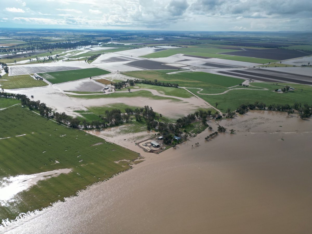 Andrew Watson tweet media