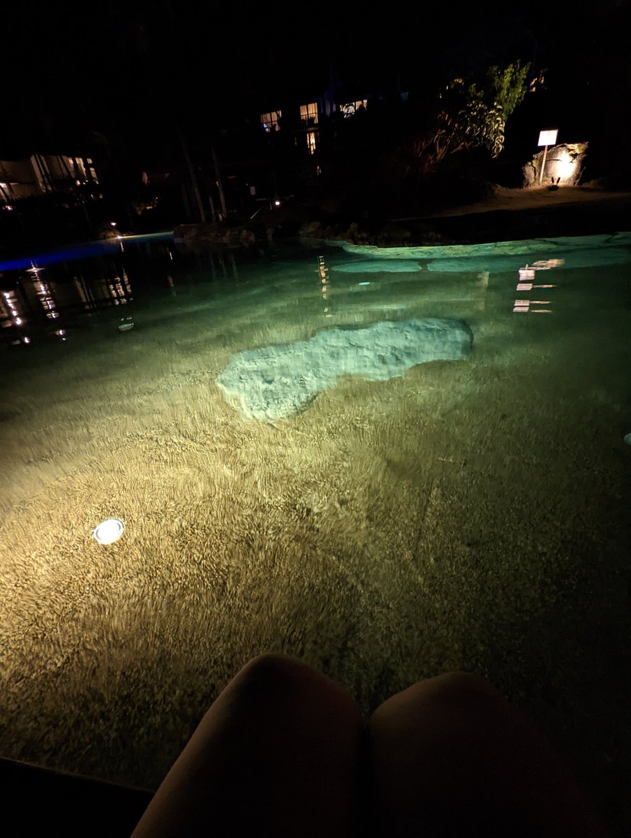 Soupivity's tweet photo. A perfect night ❤️❤️ https://t.co/PPkJxvQoB0