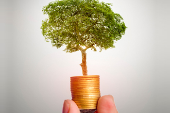 Prioritising green infrastructure can make UK Shared Prosperity Fund investments go further, says policy &amp; research lead <a href="/groundworkuk/">Groundwork UK</a> Fay Holland 

➡️bit.ly/3TJTGw1

#localgov