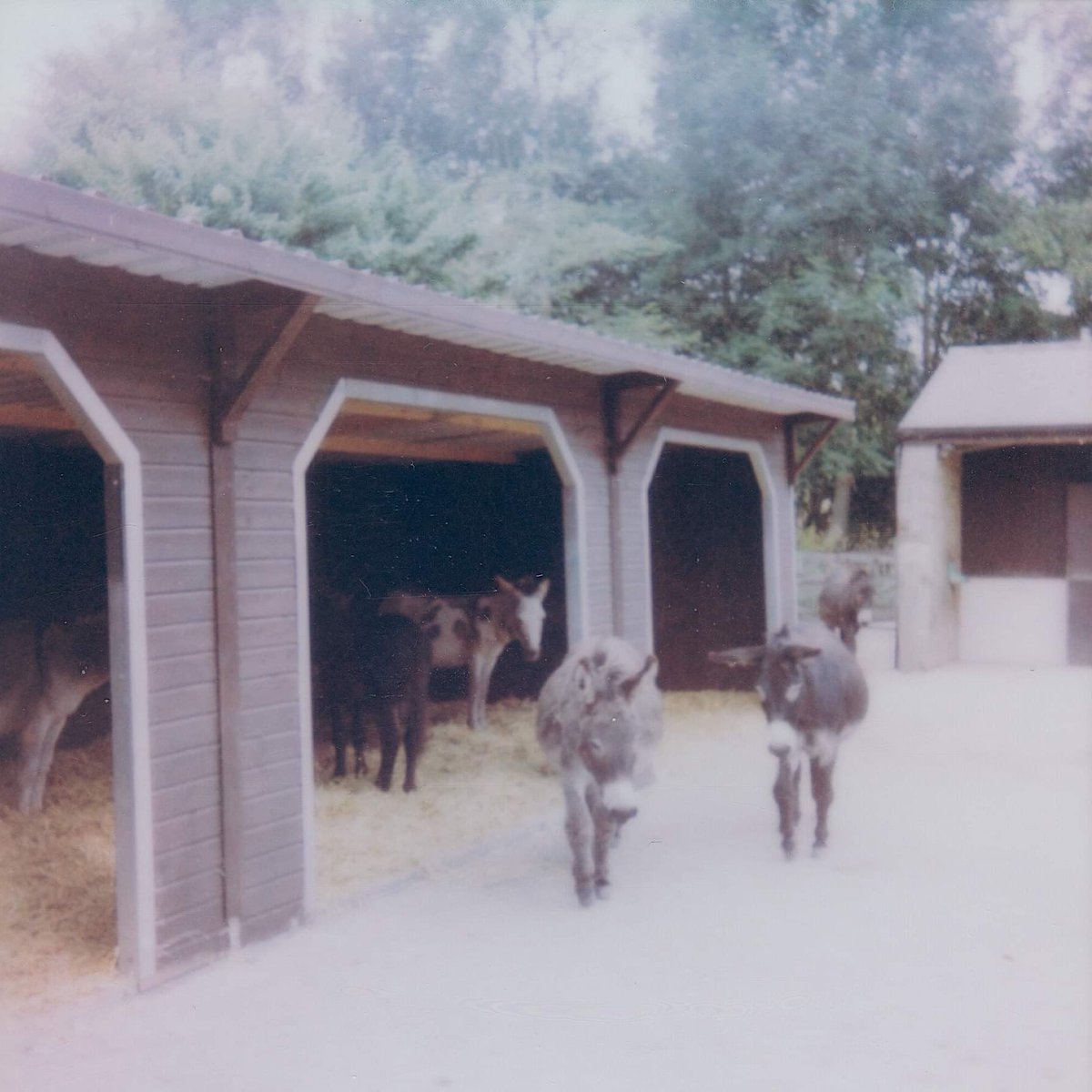 Plastic Palace regular @BenedictHawkin is putting out a new song ‘Harbin’ new week, produced by fellow PP alumni <a href="/marcbirdmusic/">Marc Bird</a> next Friday. Out on our Bandcamp and all the other usual places 28 October 2022. Can’t wait for you to hear this one!