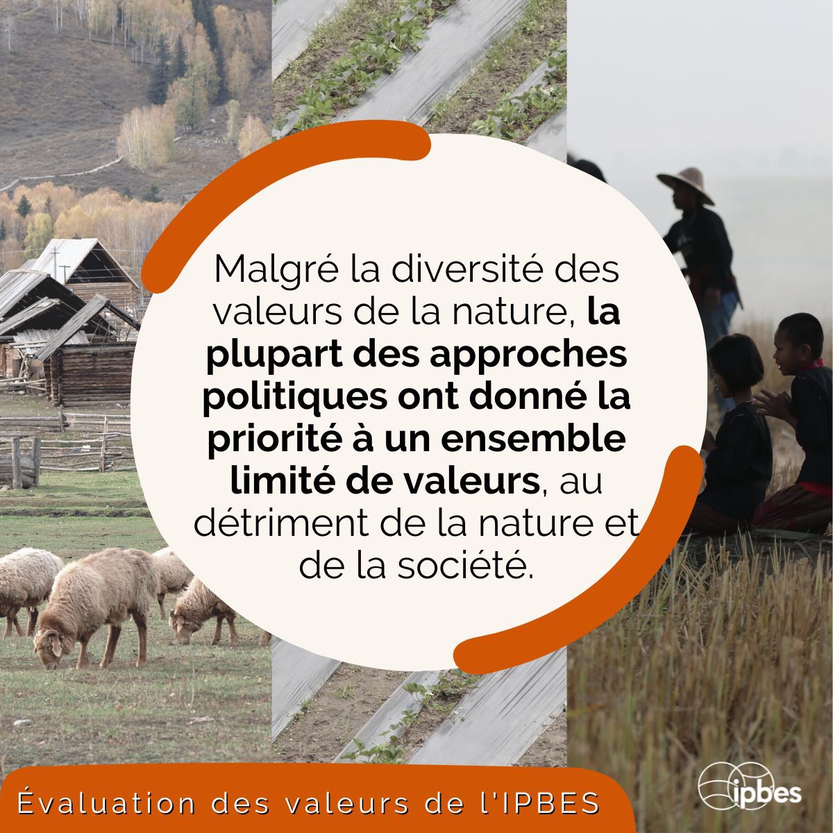 Saviez-vous que la valorisation de la nature dans les décisions politiques & économiques est un moteur clé de la crise mondiale de la #biodiversité ?💥 Explorez ce sujet avec le rapport COMPLET de l'Évaluation des valeurs de l'@IPBES📗 #ValuesAssessment➡️ipbes.net/the-values-ass…