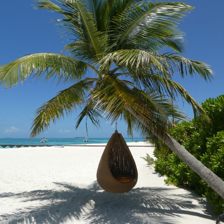 Angelfish Travel tweet media