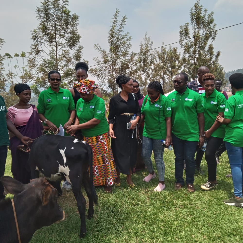 SommeilDu's tweet photo. En prélude à la célébration de la journée internationale des femmes rurale au Rwanda en date du 15 octobre 2022. La Chambre de Commerce Québec Afrique du Rwanda a participé à la célébration de cette journée en étant aux côtés des femmes rurale du district... https://t.co/wErzfAF4L8
