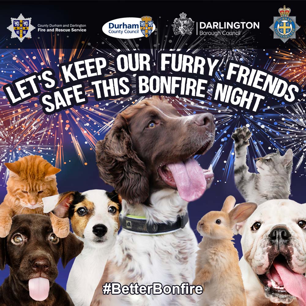 CDDFRS's tweet photo. Our Fire Dog Woodie πΆπΎ is extremely brave but even he can be distressed by loud explosions outside during the fireworks season. ππ
With bonfire night fast approaching please think about the effect on your pets and other peoples when buying your fireworks π #BetterBonfire https://t.co/Kjq0k3wKDu