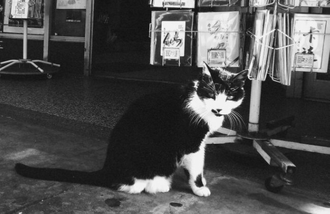 sam⁉️ tweet media