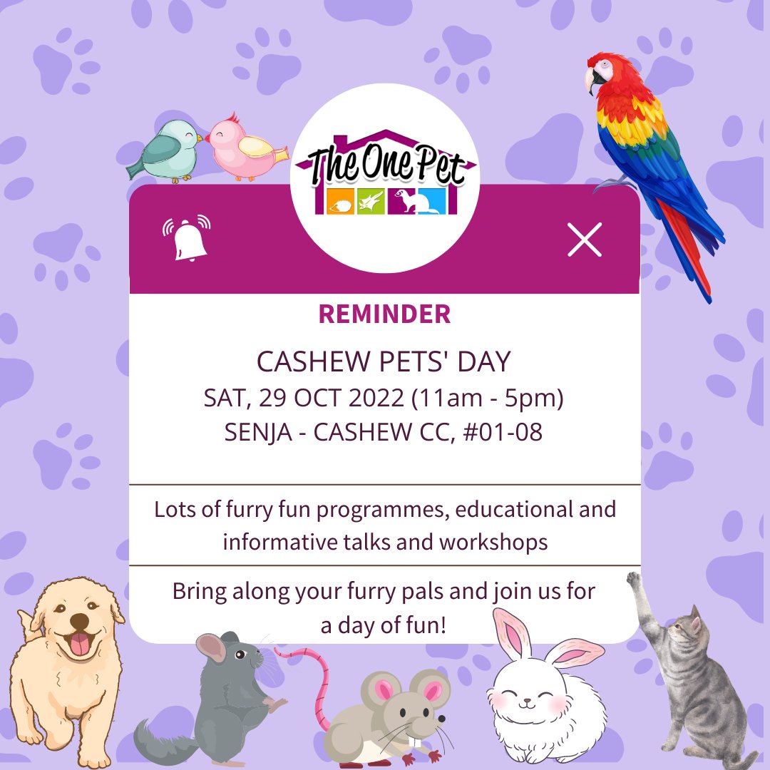 TheOnePet_TOP's tweet photo. Bring along your fur babies with us on 29th Oct!

Event Name: Cashew Pets Day 
Date: 29 October 2022, Saturday
Time: 11am to 5pm
Venue: Senja-Casjew CC, 101 Bukit Pangjang Road, Singapore 679910
GOH: Dr Vivian Balakrishnan

.
.
.
.
.
.
. https://t.co/hfQUGNoOnr