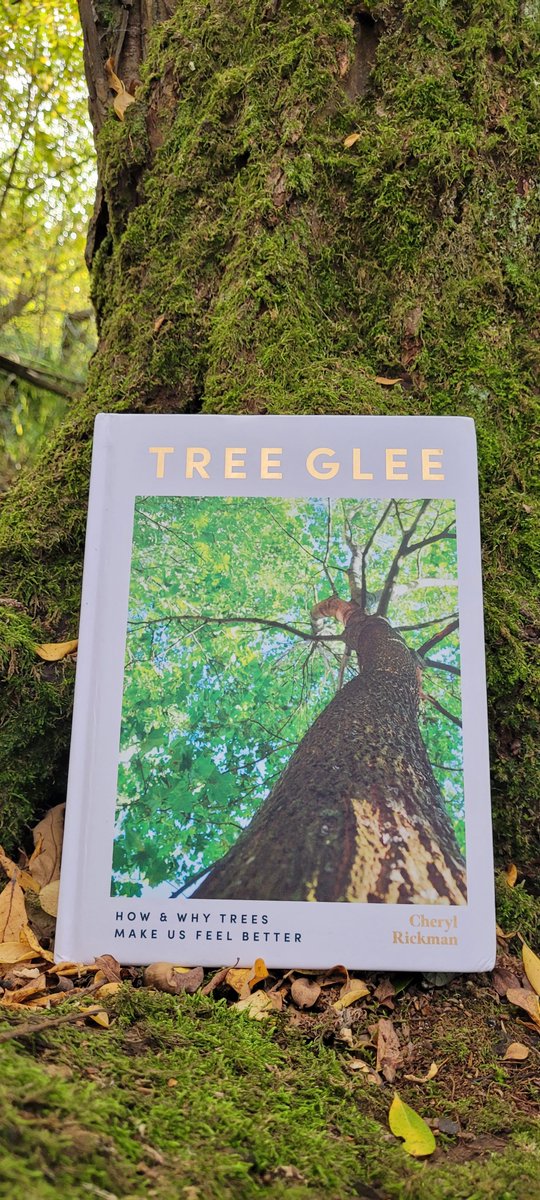 Treeglee's tweet image. I&apos;d love to share photos of you with your TREE GLEE book on my feed so please do tag #treegleebook whether you take it with you out in nature or are sitting snuggled on the sofa with a cuppa tea to read it. 
And all book reviews much appreciated.
#treeglee #newbook #nonfiction