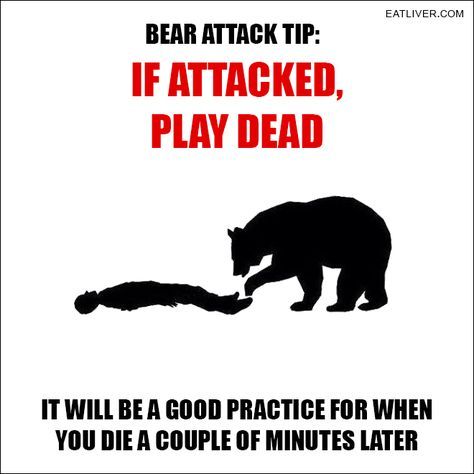 Lee is back tweet media