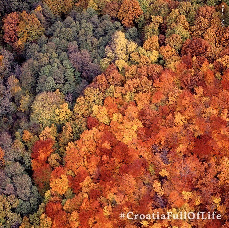 HNS_CFF's tweet photo. During autumn, nature pulls out the most beautiful trump cards from its magic hat. Experience Croatian national parks and nature parks in a costume woven in a thousand shades of autumn. 🍂🤎🍁
#FALLingForCroatia #BestFallCroatiaBucketList @Croatia_hr https://t.co/ktyz8VdWLo