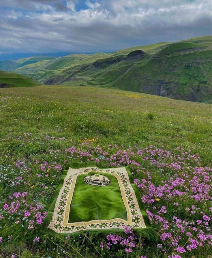 Neyi çok istersen; Allah sana onu nasip eder, sakın pes etme.'