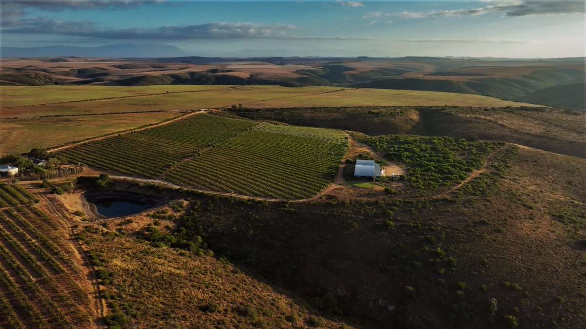 Hawk + Schoon Wine Bar tweet media