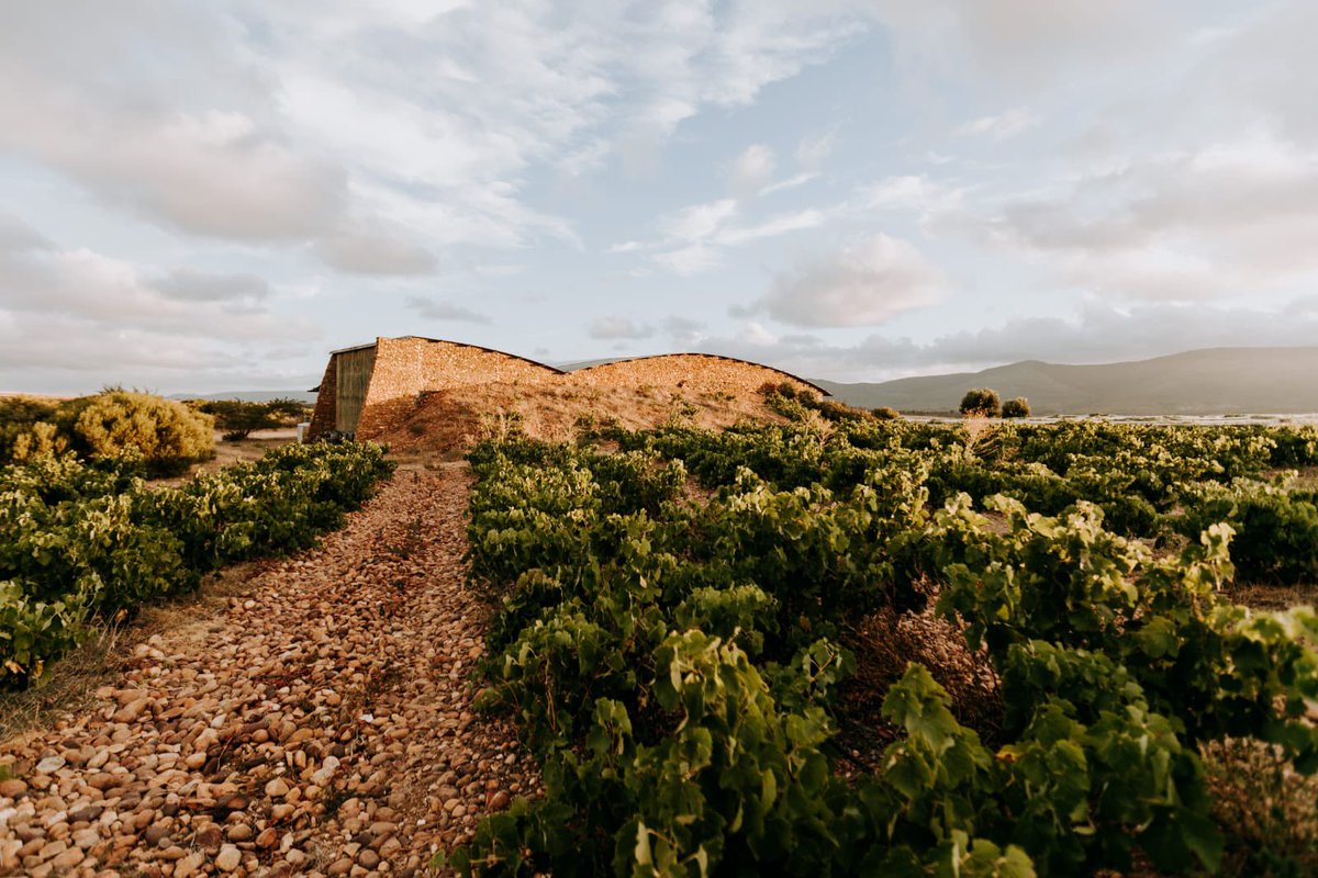 Hawk + Schoon Wine Bar tweet media