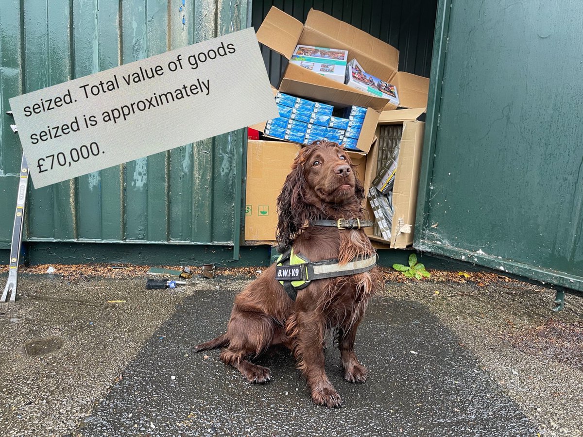 BWYK9's tweet photo. Just had a text from Cops at Gateshead to give us the seizure total for operation in Gateshead yesterday.
Approximately ยฃ70,000 #illegaltobacco seized thanks to our dogs including Bran here.
#OperationVienna @northumbriapol https://t.co/zWGj39nxSn