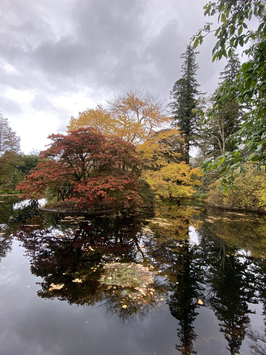 Argyll_IslesApp's tweet photo. Personally this is my favourite time of the year to visit @BenmoreBotGdn #Argyll #Dunoon the colours are absolutely stunning as is the Coffee and Cake at the end of the walk - a must DO https://t.co/ZuvxdtkoSD