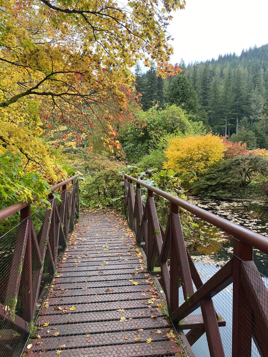 Argyll_IslesApp's tweet photo. Personally this is my favourite time of the year to visit @BenmoreBotGdn #Argyll #Dunoon the colours are absolutely stunning as is the Coffee and Cake at the end of the walk - a must DO https://t.co/ZuvxdtkoSD