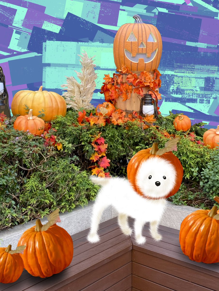 ParallelZoom's tweet photo. HappyHalloween! #Halloween #puppy #nft #犬ずき #マルプー #procreate #illustraion #可愛いと思ったらRT https://t.co/nY4aVRBd2n