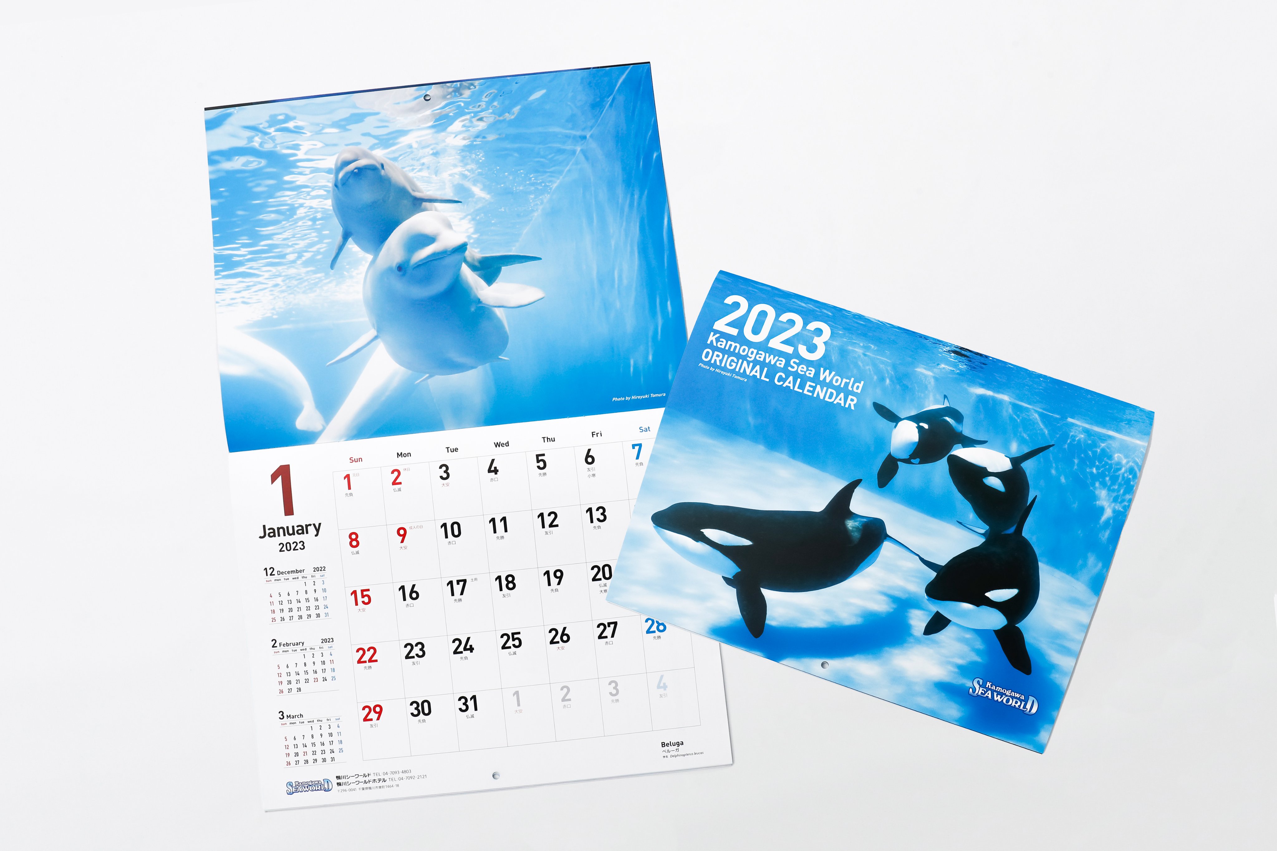 鴨川シーワールド【公式】 on X: 