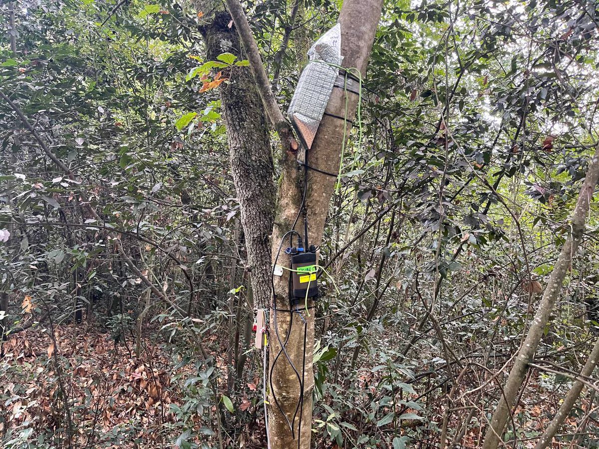 sretailleau's tweet photo. Cet été, les forêts de Gironde furent le visage du changement climatique. 

La recherche permet de lutter contre les îlots de chaleur en ville, l’adaptation à la sécheresse, la résilience face aux incendies.

Grâce à sa forêt expérimentale, l’@univbordeaux y contribue fortement. https://t.co/bgUbpqBaAk