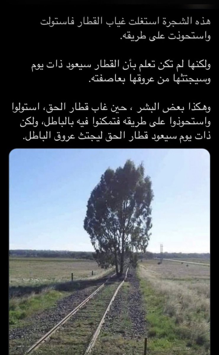 alharbiamod's tweet photo. @MALHACHIMI القطار محمد بن سلمان سيسحقك انت ومن خلفك من جذوركم https://t.co/4H3nz752kr