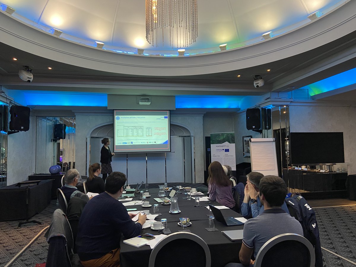 Marineff Project tweet media