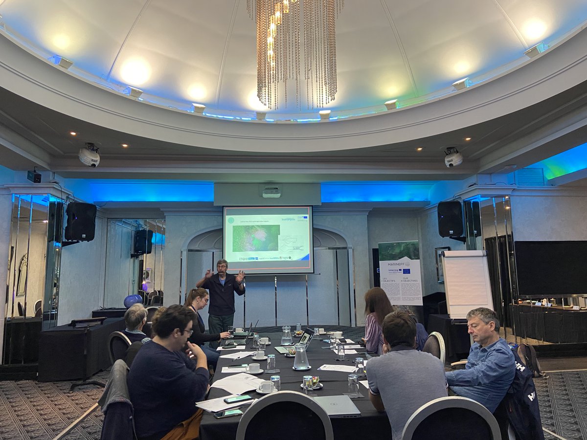 Marineff Project tweet media