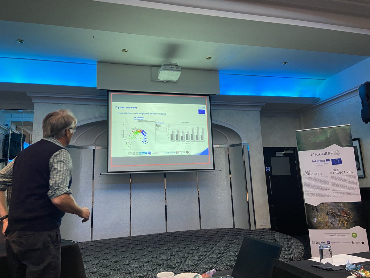 Marineff Project tweet media