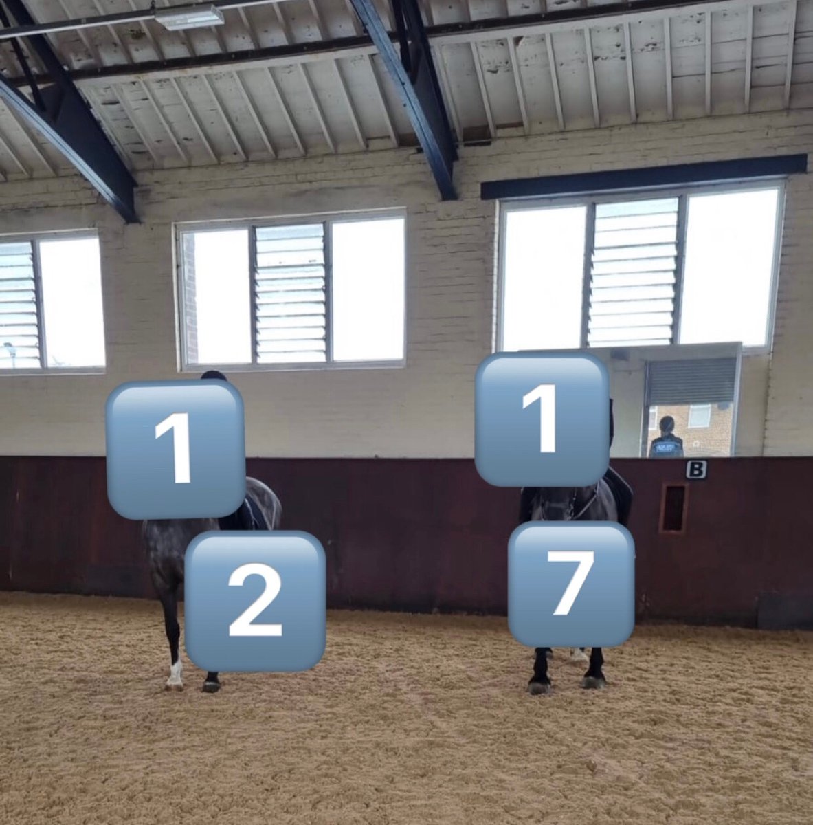 MerPolMounted's tweet photo. We have got 2 new horses on the yard and they have been given their allocated numbers, but which horse do you want to meet first over the weekend?
Horse 12 or Horse 17?
#StandTall #NewMerpolPH #NewBoys #FridayFunDay https://t.co/HTjWz0I08D