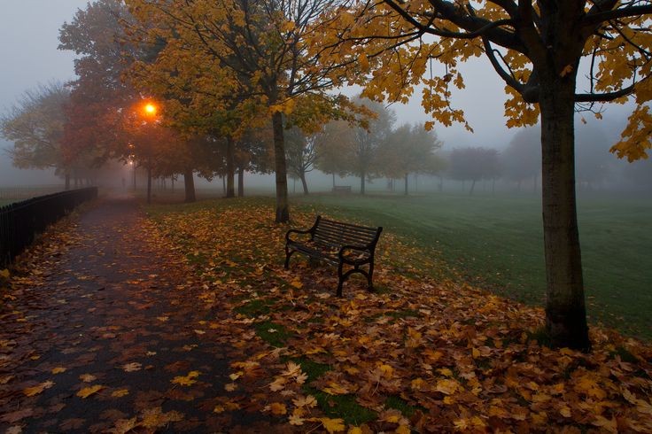 Autumn is so pretty.