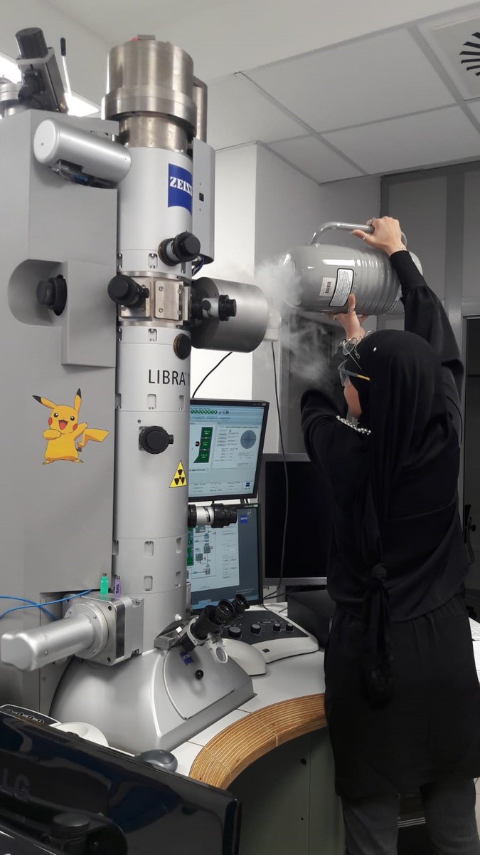 Naned_project tweet media