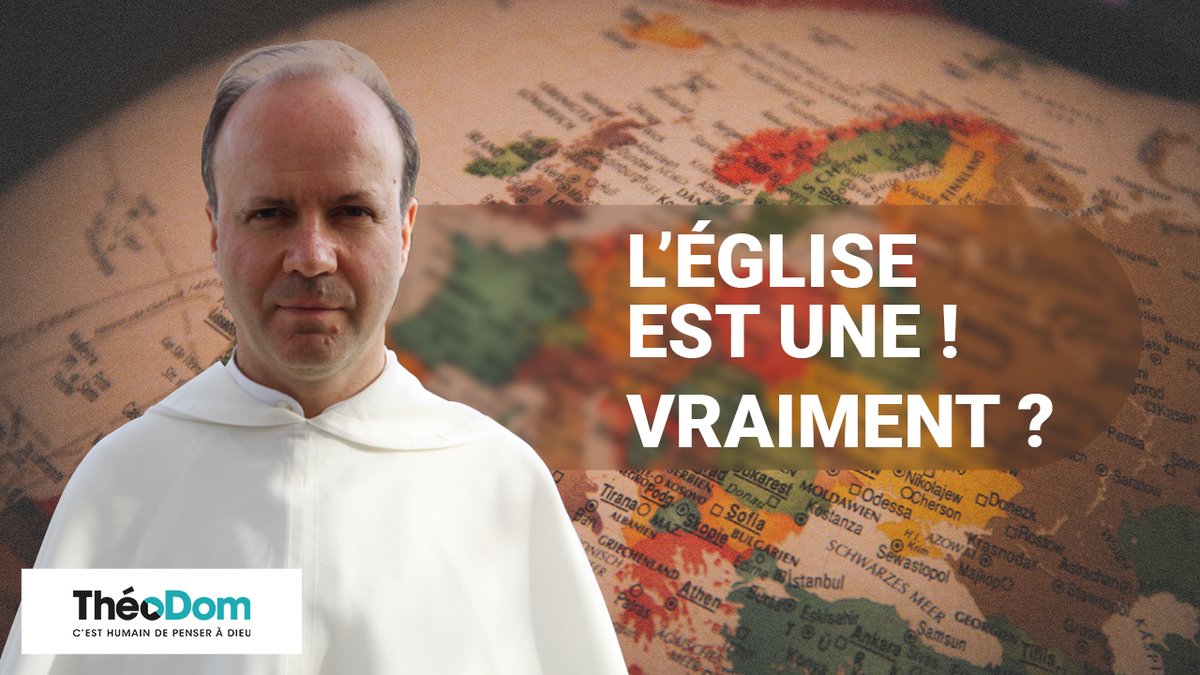 TheoDom tweet media