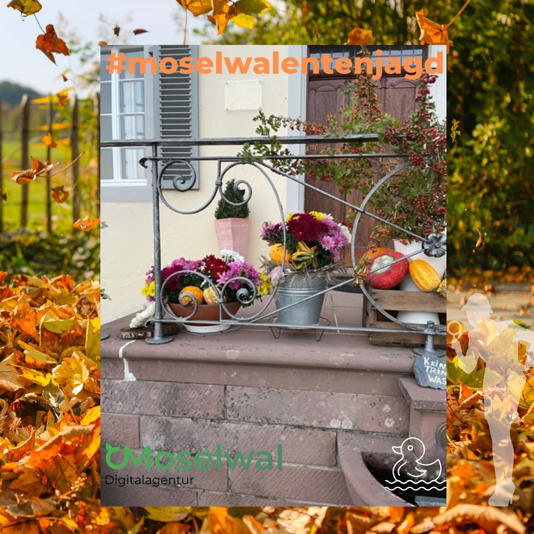 moselwal's tweet photo. Auch im Herbst macht versteckt sich unsere grüne Ente. Findet Ihr sie?
Lösungen zum #gewinnspiel bis So 23:59 Uhr an uns.
Wir wünschen Euch ein schönes Herbstwochenende
Euer
#teammoselwal #moselwalentenjagd #happy #herbst #October #klostermachern
https://t.co/iz3MxyAFUA https://t.co/JETntwm7rY