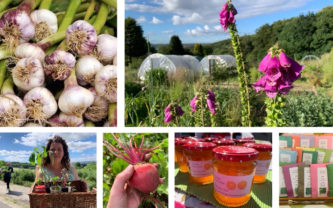 Image from Growing Newsome (@GrowingNewsome)