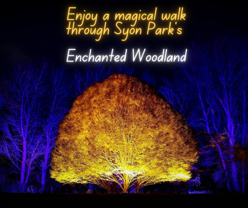 THREE WEEKS TO GO UNTIL OUR FIRST OPENING + NO BOOKING FEES 😊 > fal.cn/3sVq4

With over 400 tree species including many rare and unusual trees from all around the world, we really wanted to find a way to celebrate our arboretum.

#timeoutlondon #visitlondon