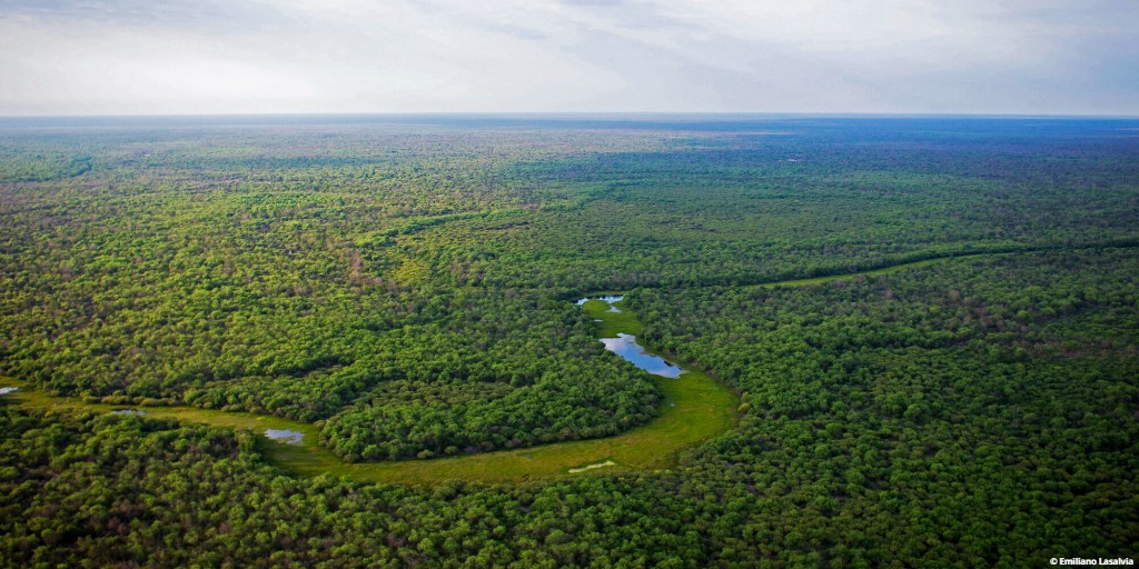 EDGEofExistence's tweet photo. Next in #15FootstepsForward is the work being done to help save the Gran Chaco!
EDGE Fellow Mica Camino has helped to create the “Somos Monte” movement and assisted in creating a support network for local people.
Head to our Facebook page to learn more https://t.co/4ADT1zj6MU https://t.co/ATm7TylX51