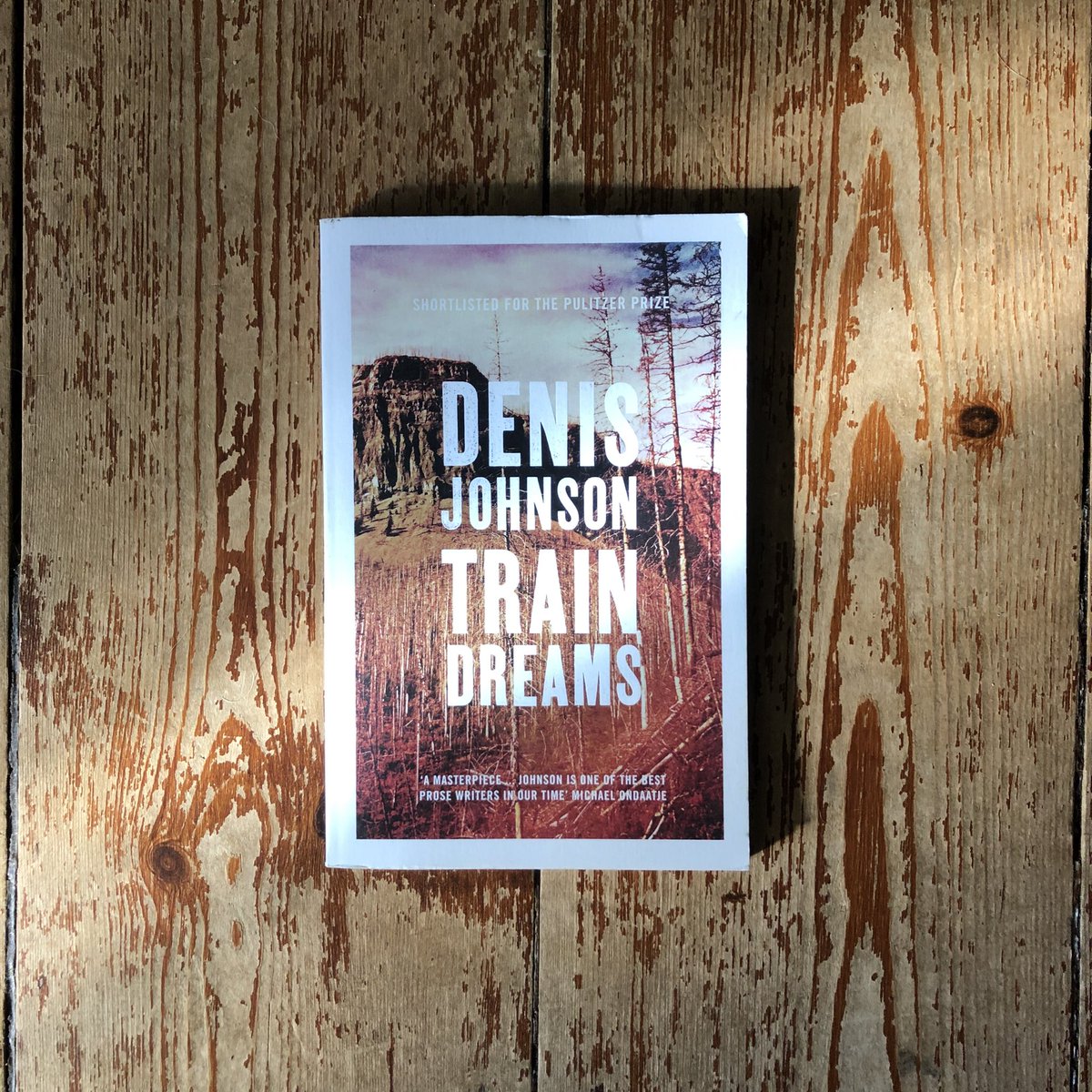 KulchurK's tweet photo. Spending the past year or so kicking around in English and European lit, I had forgotten how exceptional the American voice is at moving about in the epic register without breaking sweat…

#denisjohnson #traindreams https://t.co/m1znJZZ6pr