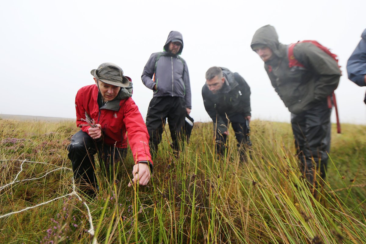 Why did we take the whole Plantlife Scotland team up to our Munsary Peatlands nature reserve in Caithness (in the rain)? Read this fantastic blog from Marygrace, our Data and GIS Officer, to find out... plantlife.org.uk/scotland/blog/… @Love_plants @TheFlowCountry